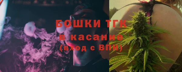 ПСИЛОЦИБИНОВЫЕ ГРИБЫ Бородино