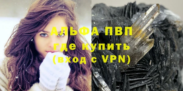 твердый Богданович