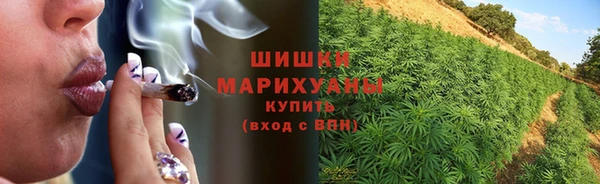 ПСИЛОЦИБИНОВЫЕ ГРИБЫ Бородино